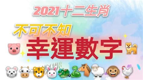 屬雞幸運數字|12生肖最強開運秘訣 幸運數字、顏色與方位都要筆記。